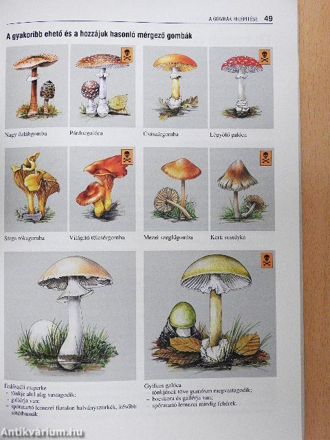 Biológia érettségizőknek 1.
