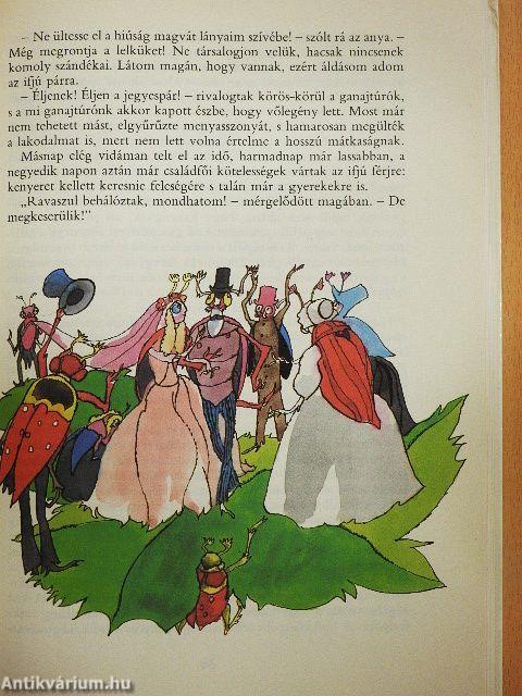 A szerencsetündér sárcipője