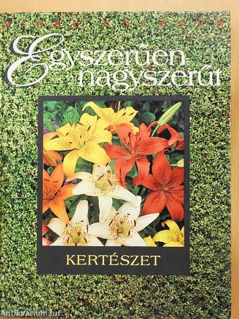 Egyszerűen nagyszerűt