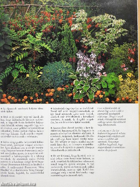 Egyszerűen nagyszerűt