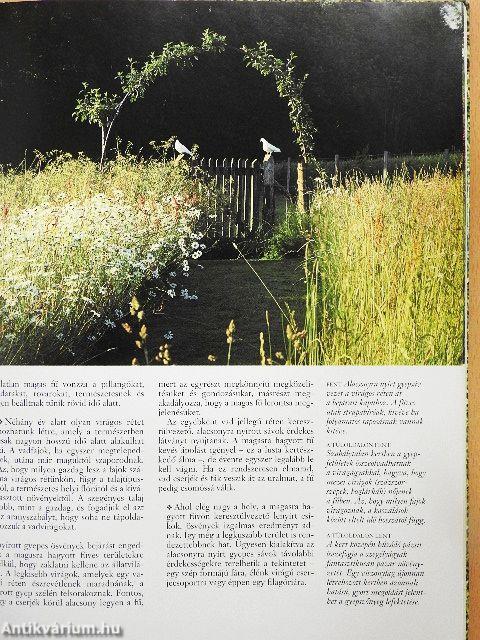 Egyszerűen nagyszerűt