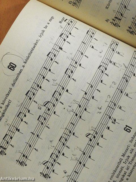 A hangok világa IV.