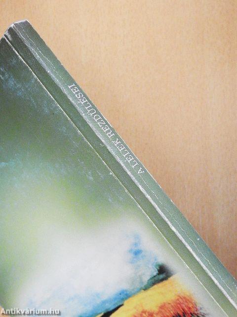 A lélek rezdülései