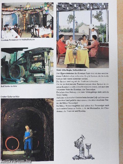 Willkommen im Komitat Fejér, Ungarn