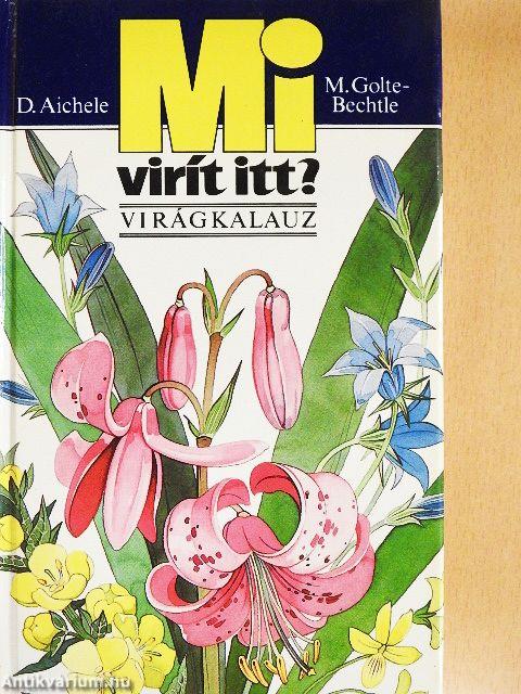 Mi virít itt?