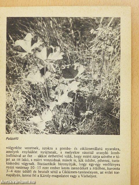 Sopron - Tájvédelmi körzet