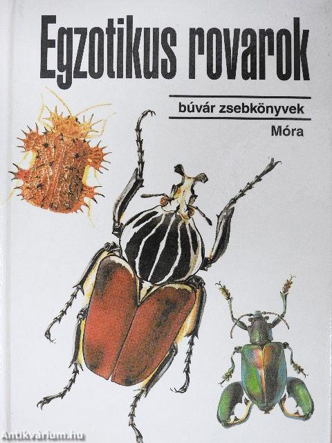 Egzotikus rovarok