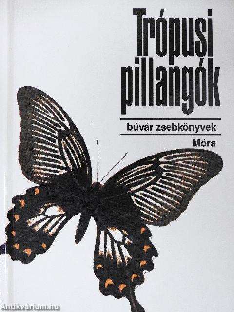 Trópusi pillangók