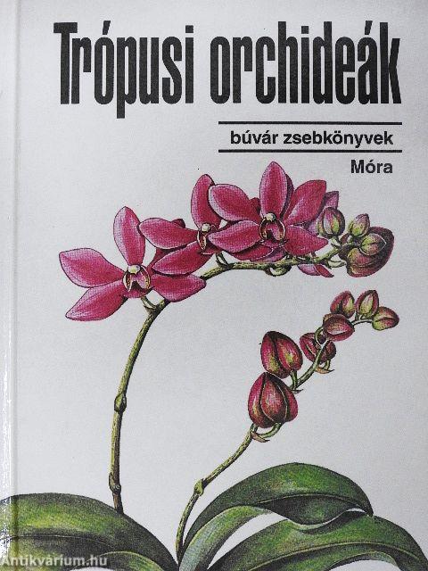 Trópusi orchideák