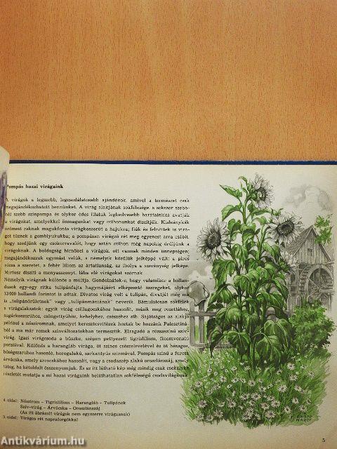 A természet csodái