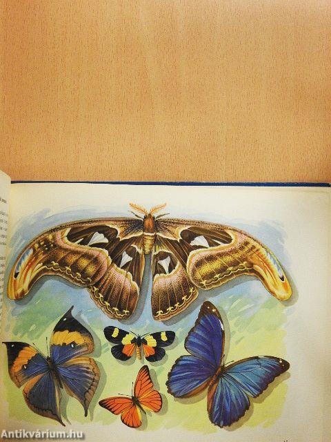 A természet csodái