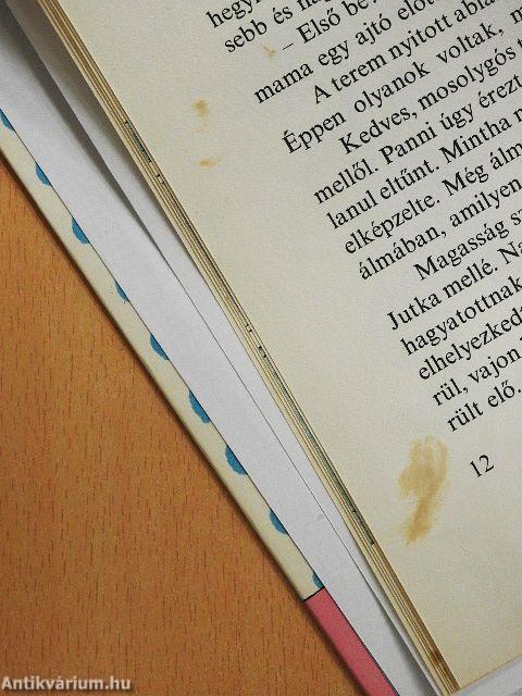 Pöttyös Panni naplója