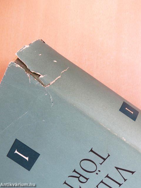 Világtörténet 1-10.