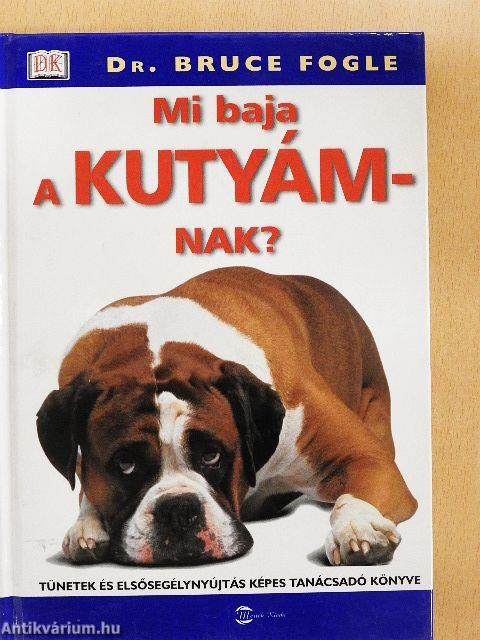 Mi baja a kutyámnak?