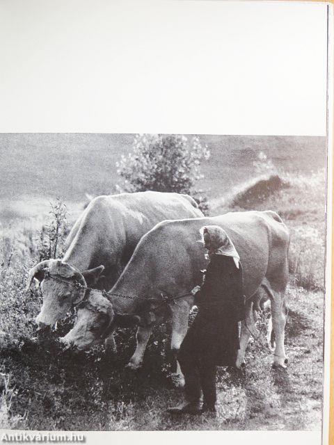 Őrség