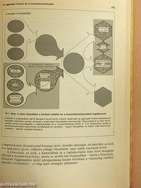 Közgazdaságtan I-III.