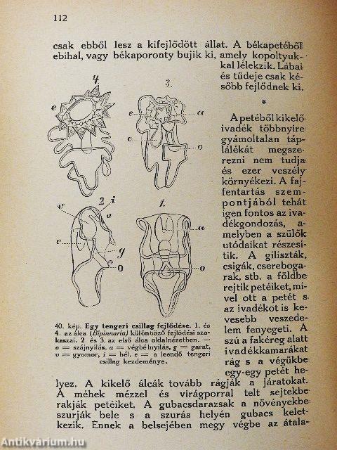 Bevezetés az élettudományba