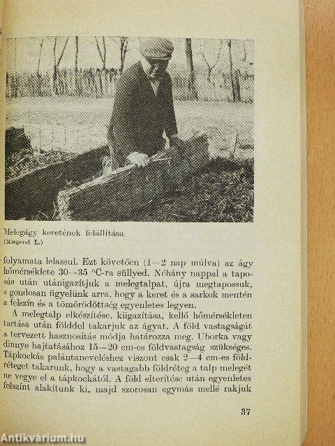 Uborka- és dinnyetermesztés a házikertben