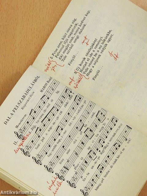 111 dal úttörőknek