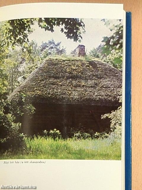 A lett irodalom kistükre