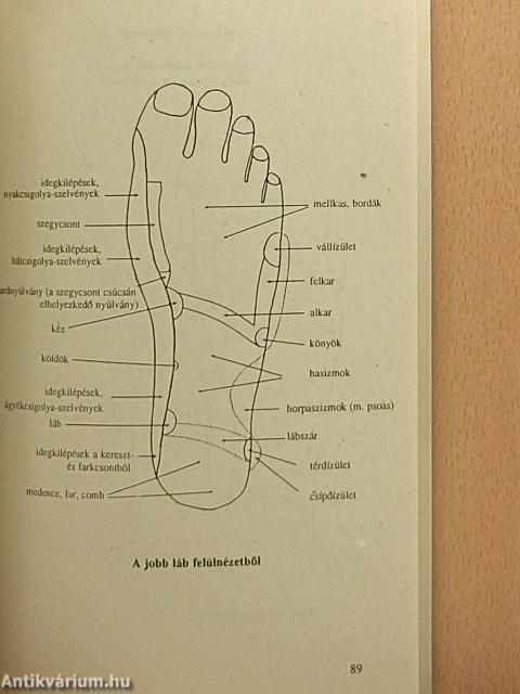 Gyógyító talpmasszázs
