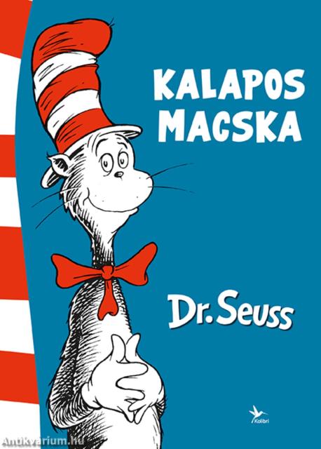 Kalapos macska