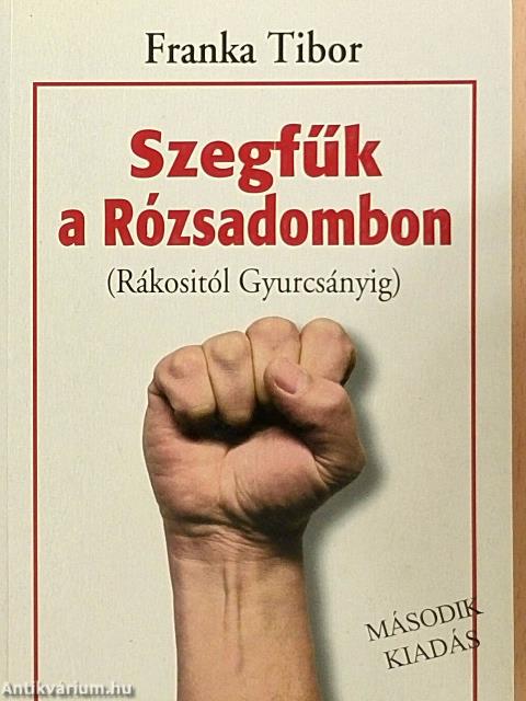 Szegfűk a Rózsadombon