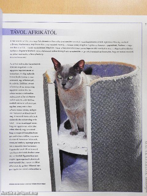 Macskatartók kézikönyve