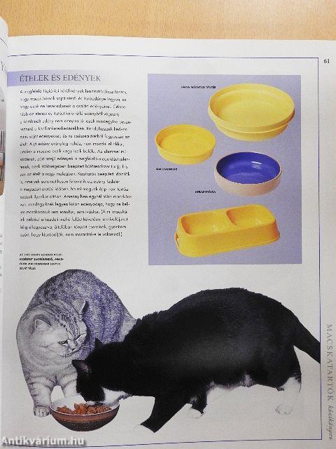 Macskatartók kézikönyve