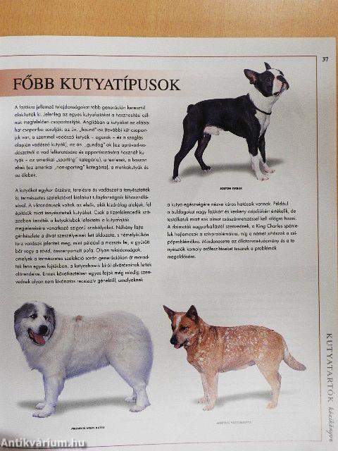 Kutyatartók kézikönyve