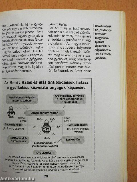 Ájurvéda
