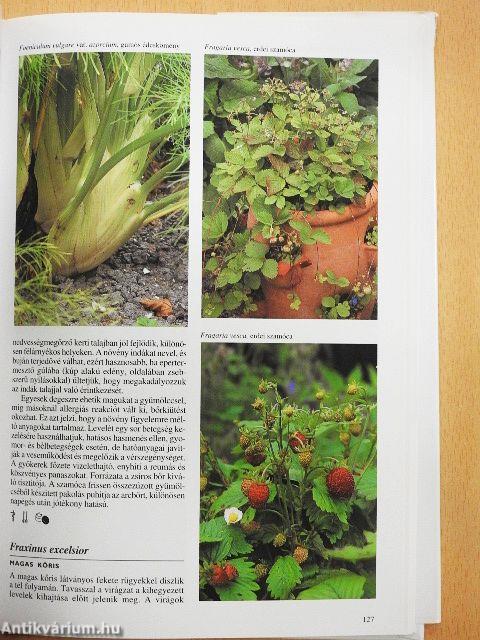 Gyógynövények enciklopédiája