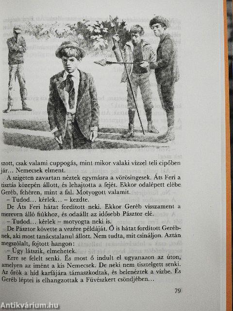 A Pál utcai fiúk