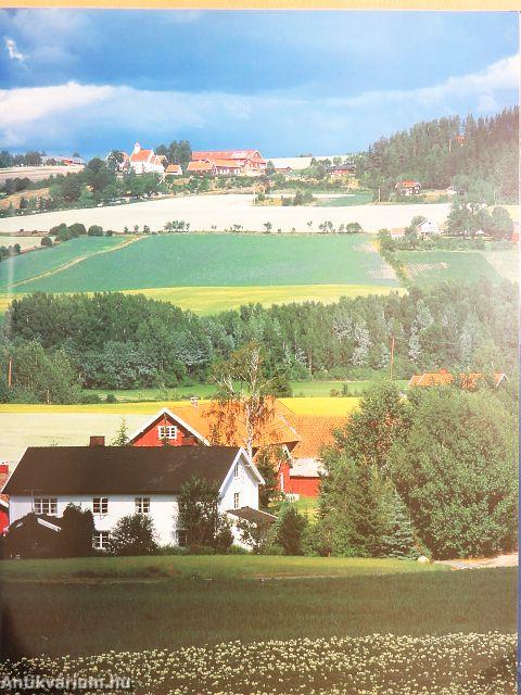 Die Norwegische Küche