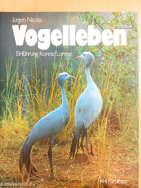 Vogelleben