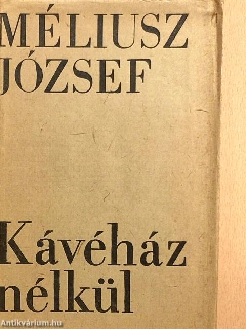 Kávéház nélkül