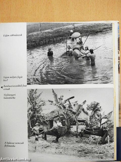 Százezer kilométer Vietnamban