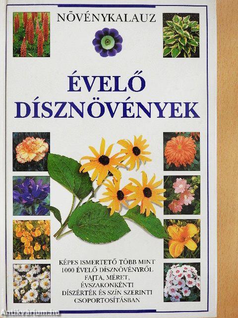 Évelő dísznövények