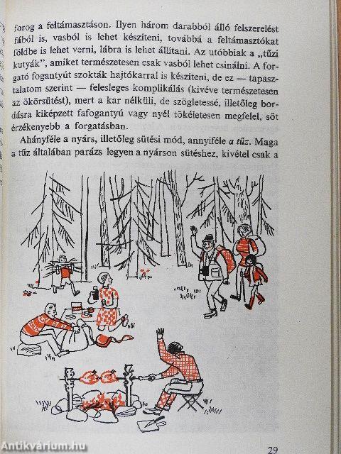 Néprajzi ínyesmesterség