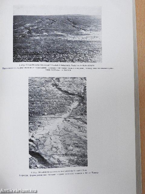 Földrajzi Értesítő 1980/2-3.
