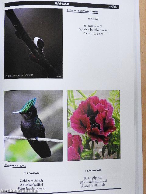 Napút 2015. március