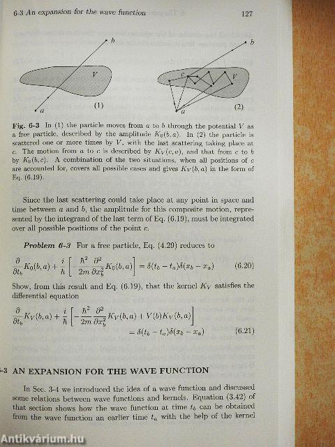 Quantum Mechanics and Path Integrals