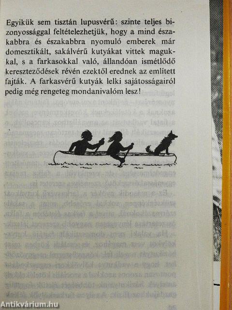Ember és kutya