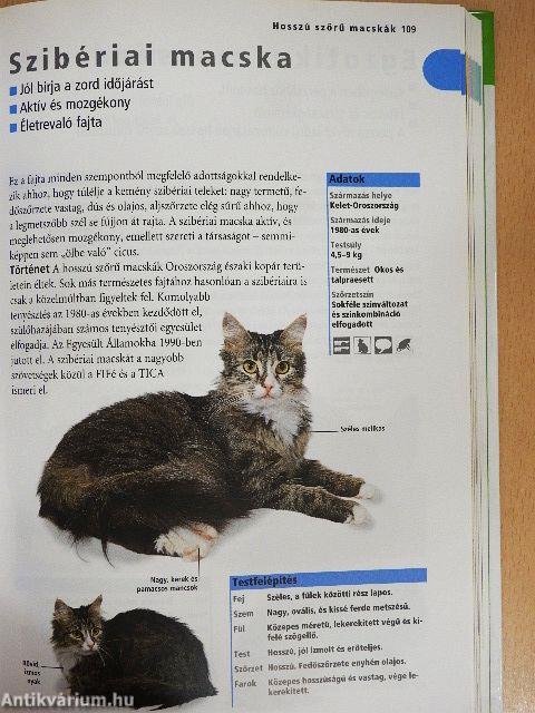 A macskatartók kézikönyve
