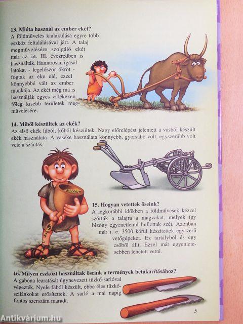 Tudod-e? - A kőbaltától a mikroprocesszorig