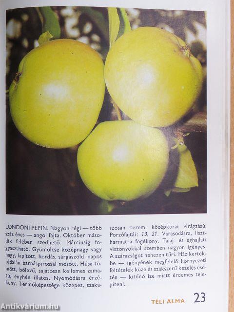 88 színes oldal a gyümölcsfajtákról