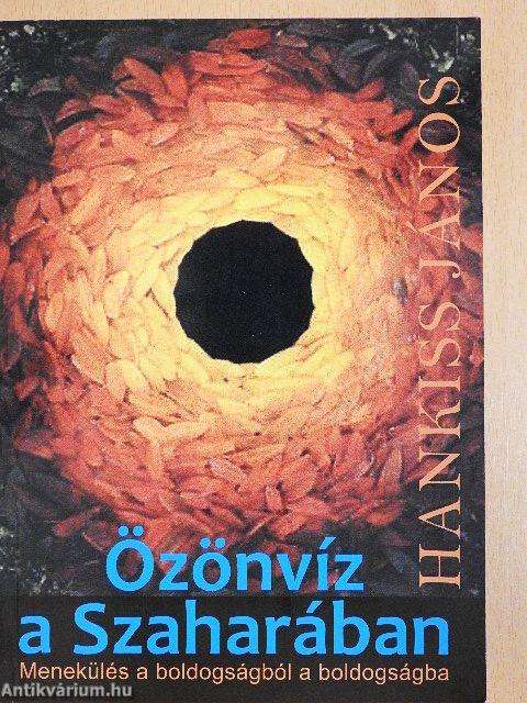 Özönvíz a Szaharában