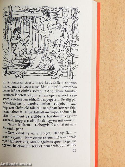 Danny, a szupersrác