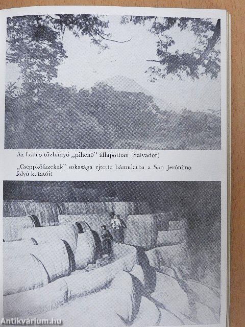 Éjfélkor dőlnek a pálmák