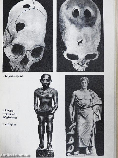 A gyógyító ember